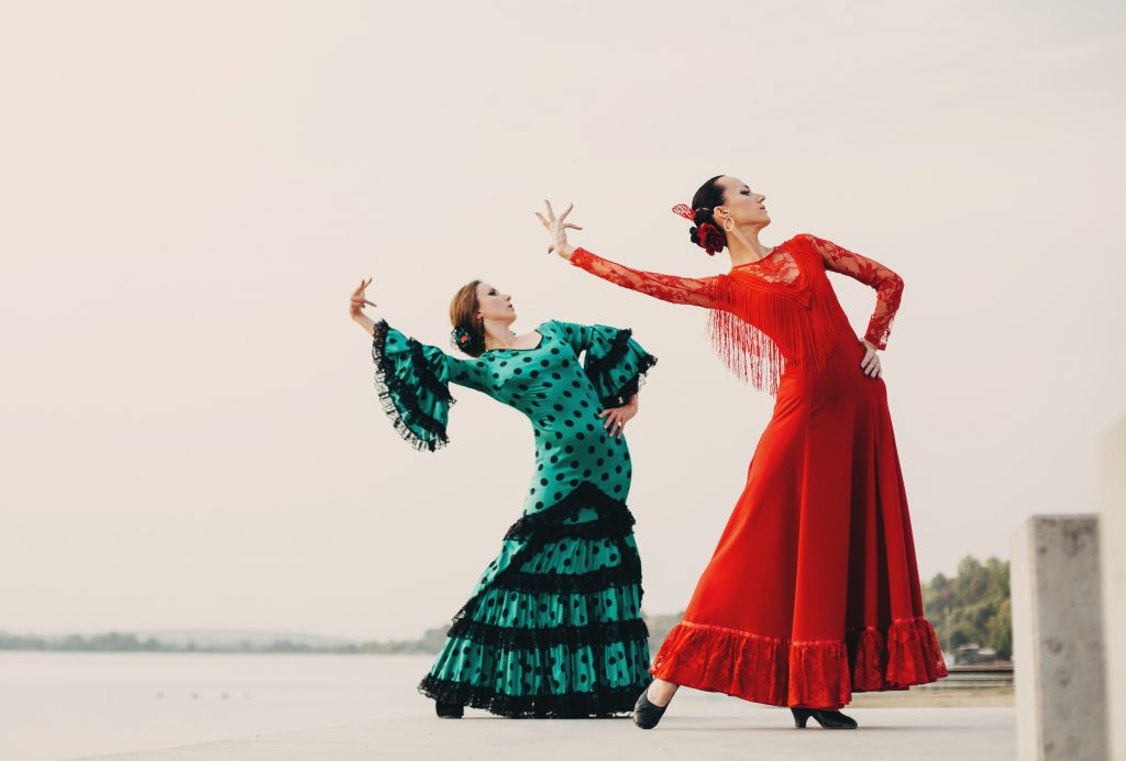 actividades culturales, musica, baile, flamenco, planes en navarra, que hacer en el norte de españa